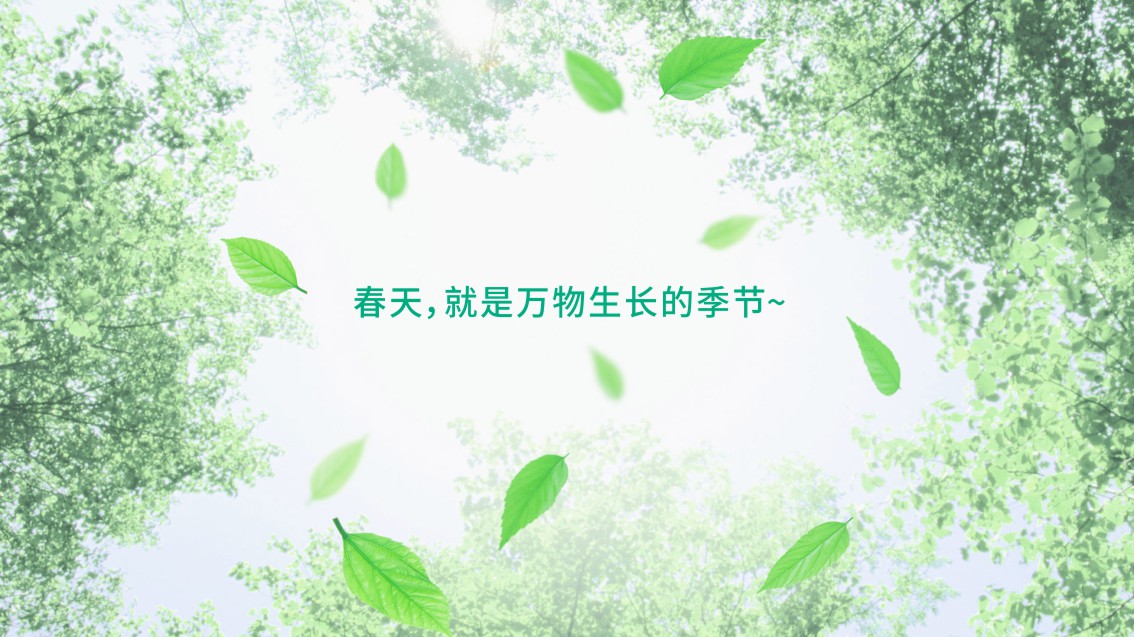 房地產(chǎn)中介LOGO設計,中介連鎖VI設計